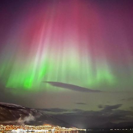 Apartmán Rom Sentralt I Tromsø Exteriér fotografie